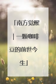 南方觉醒｜一颗咖啡豆的前世今生