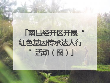 南昌经开区开展“红色基因传承达人行”活动（图）