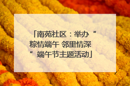 南苑社区：举办“粽情端午 邻里情深”端午节主题活动