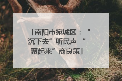 南阳市宛城区：“沉下去”听民声 “聚起来”商良策