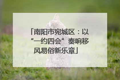 南阳市宛城区：以“一约四会”奏响移风易俗新乐章