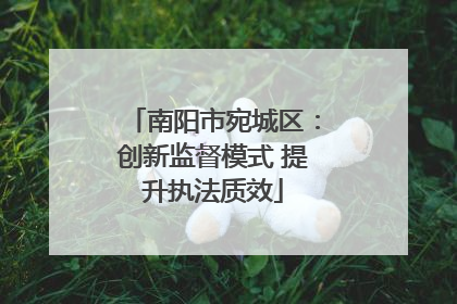 南阳市宛城区：创新监督模式 提升执法质效