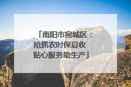 南阳市宛城区：抢抓农时保夏收 贴心服务助生产