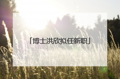 博士洪欣拟任新职