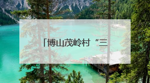 博山茂岭村“三堂”并蒂，解锁乡村文明新风