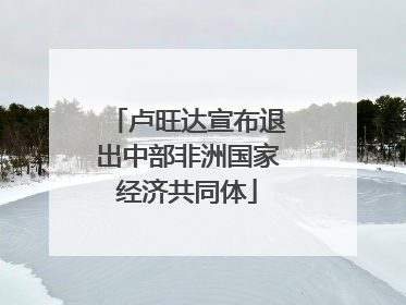 卢旺达宣布退出中部非洲国家经济共同体