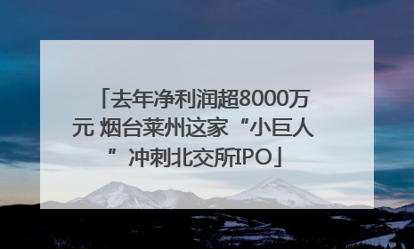 去年净利润超8000万元 烟台莱州这家“小巨人”冲刺北交所IPO
