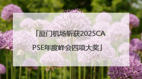 厦门机场斩获2025CAPSE年度峰会四项大奖