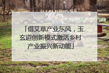 借艾草产业东风，玉玄道创新模式激活乡村产业振兴新动能