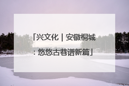 兴文化｜安徽桐城：悠悠古巷谱新篇