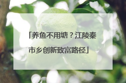 养鱼不用塘？江陵秦市乡创新致富路径