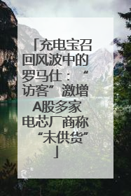 充电宝召回风波中的罗马仕：“访客”激增 A股多家电芯厂商称“未供货”