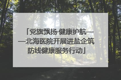 党旗飘扬·健康护航——北海医院开展进盐企筑防线健康服务行动