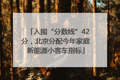 入围“分数线”42分，北京分配今年家庭新能源小客车指标