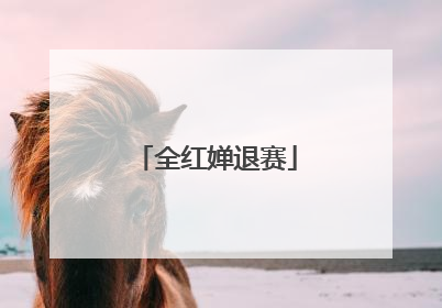 全红婵退赛