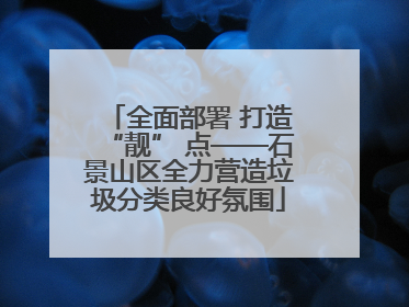 全面部署 打造“靓” 点——石景山区全力营造垃圾分类良好氛围