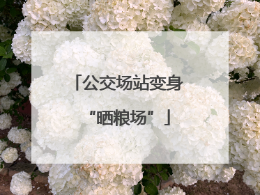 公交场站变身“晒粮场”