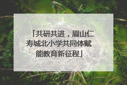 共研共进，眉山仁寿城北小学共同体赋能教育新征程