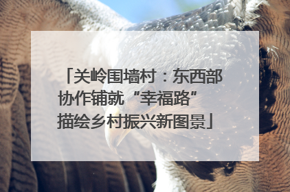 关岭围墙村：东西部协作铺就“幸福路” 描绘乡村振兴新图景