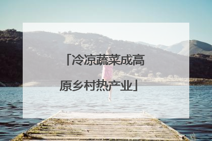 冷凉蔬菜成高原乡村热产业