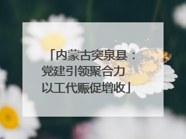 内蒙古突泉县：党建引领聚合力 以工代赈促增收