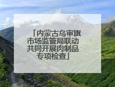 内蒙古乌审旗市场监管局联动共同开展肉制品专项检查