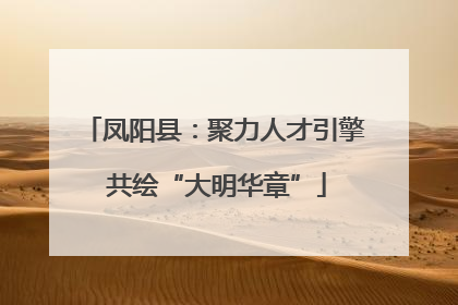 凤阳县：聚力人才引擎 共绘“大明华章”