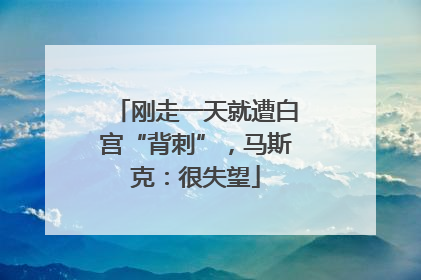 刚走一天就遭白宫“背刺”，马斯克：很失望