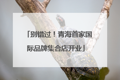 别错过！青海首家国际品牌集合店开业