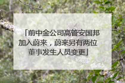 前中金公司高管安国邦加入蔚来，蔚来另有两位董事发生人员变更