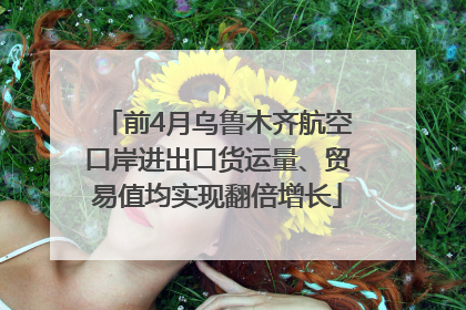 前4月乌鲁木齐航空口岸进出口货运量、贸易值均实现翻倍增长
