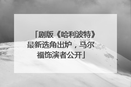 剧版《哈利波特》最新选角出炉，马尔福饰演者公开