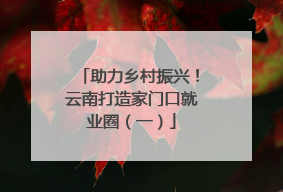 助力乡村振兴！云南打造家门口就业圈（一）