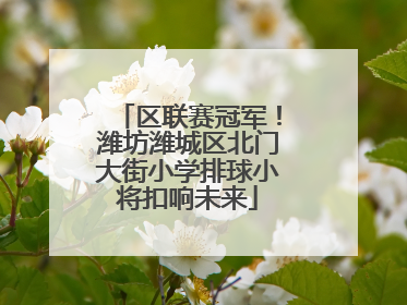 区联赛冠军！潍坊潍城区北门大街小学排球小将扣响未来