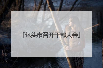 包头市召开干部大会