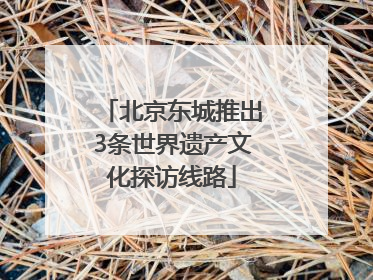 北京东城推出3条世界遗产文化探访线路