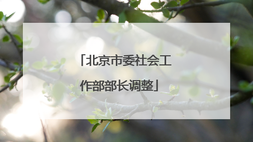 北京市委社会工作部部长调整