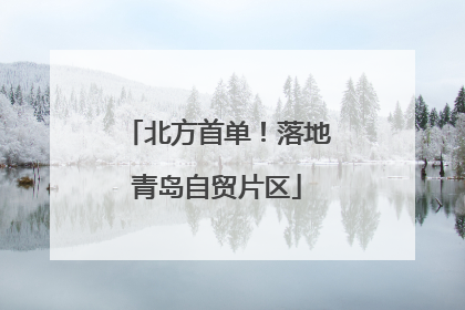 北方首单！落地青岛自贸片区