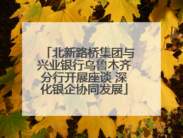 北新路桥集团与兴业银行乌鲁木齐分行开展座谈 深化银企协同发展