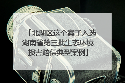北湖区这个案子入选湖南省第三批生态环境损害赔偿典型案例
