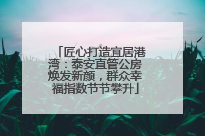 匠心打造宜居港湾：泰安直管公房焕发新颜，群众幸福指数节节攀升