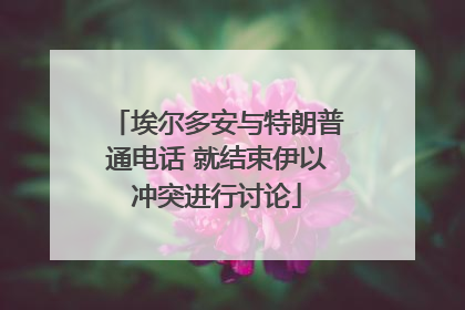 埃尔多安与特朗普通电话 就结束伊以冲突进行讨论