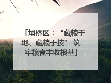 埇桥区：“藏粮于地、藏粮于技” 筑牢粮食丰收根基