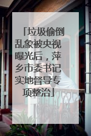 垃圾偷倒乱象被央视曝光后，萍乡市委书记实地督导专项整治