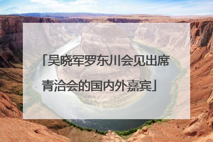 吴晓军罗东川会见出席青洽会的国内外嘉宾