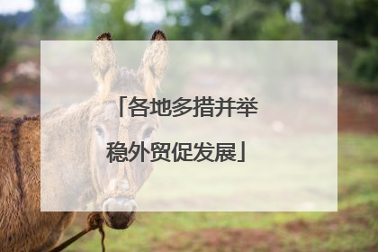 各地多措并举稳外贸促发展