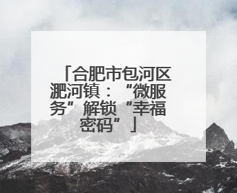合肥市包河区淝河镇：“微服务”解锁“幸福密码”