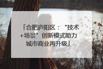 合肥庐阳区：“技术+场景”创新模式助力城市商业再升级