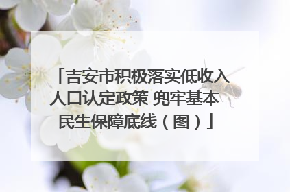 吉安市积极落实低收入人口认定政策 兜牢基本民生保障底线（图）