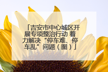 吉安市中心城区开展专项整治行动 着力解决“停车难、停车乱”问题（图）
